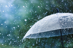 Magere Honigernte wegen schlechten Wetters; nur das Tessin blieb verschont