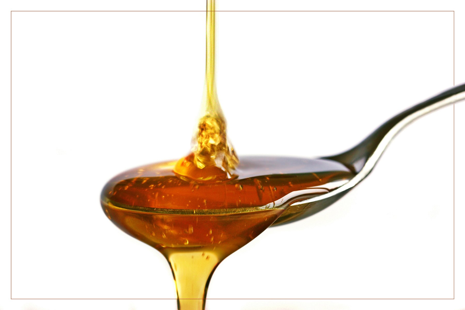 Bienenhonig – ein Wunder der Natur