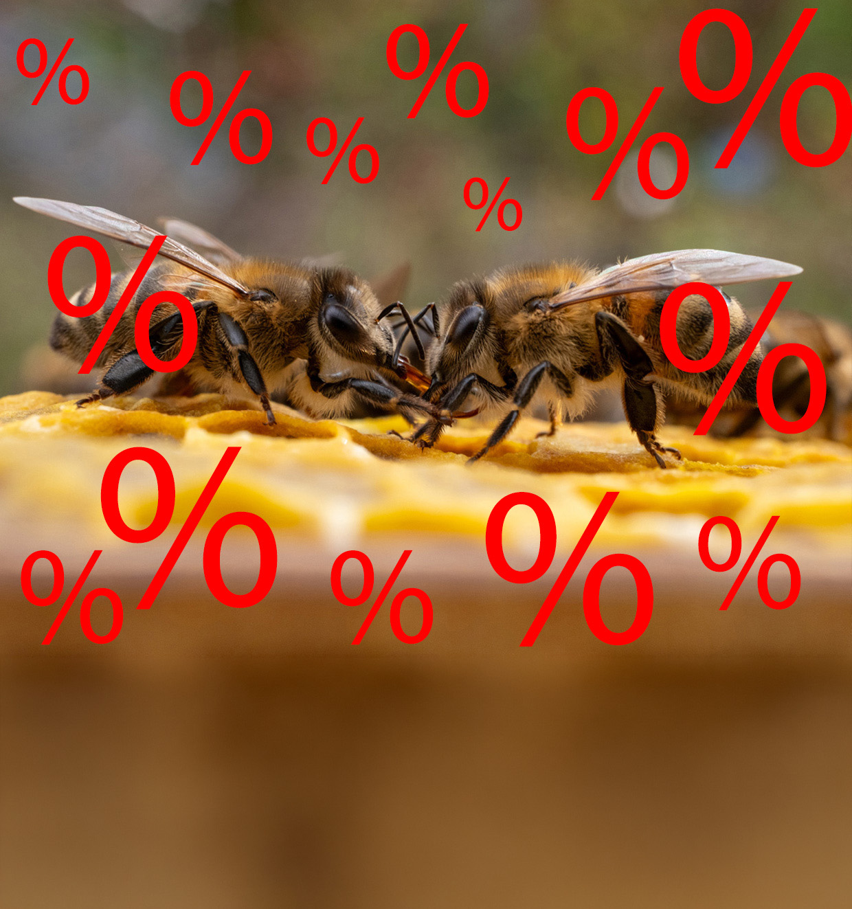 Aktuelle Angebote im BienenSchweiz-Shop