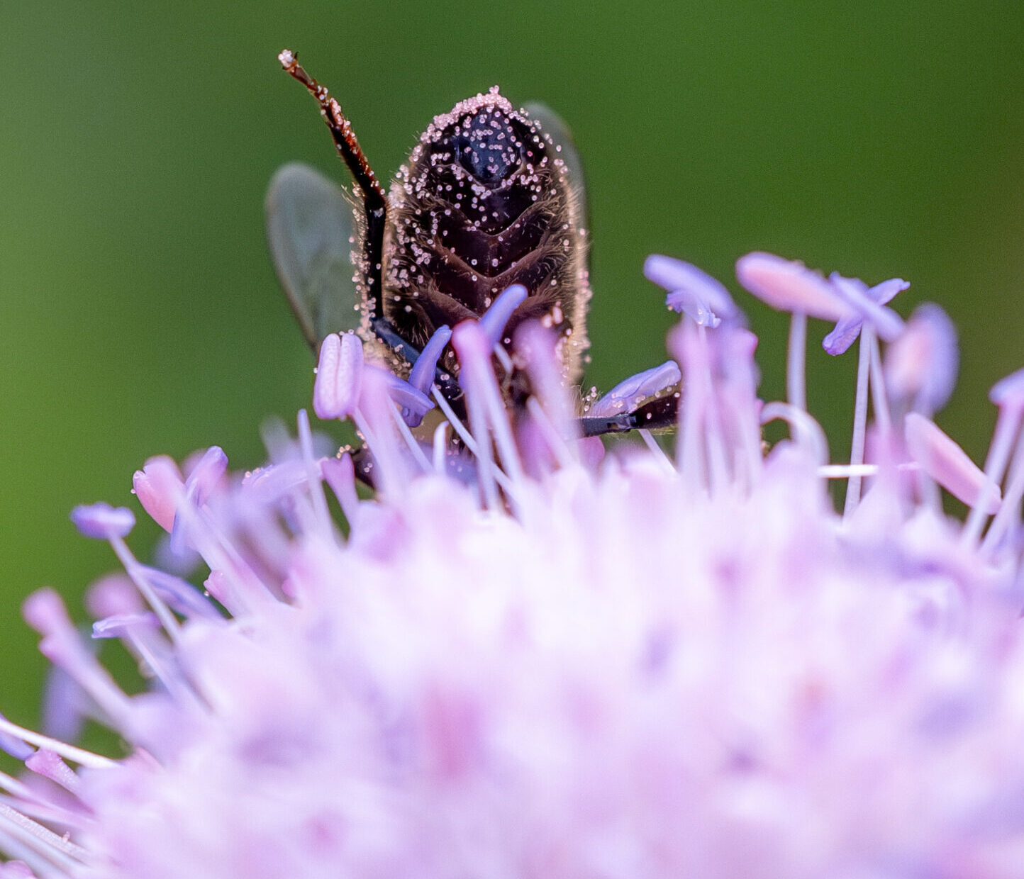 Betriebsferien im Herbst